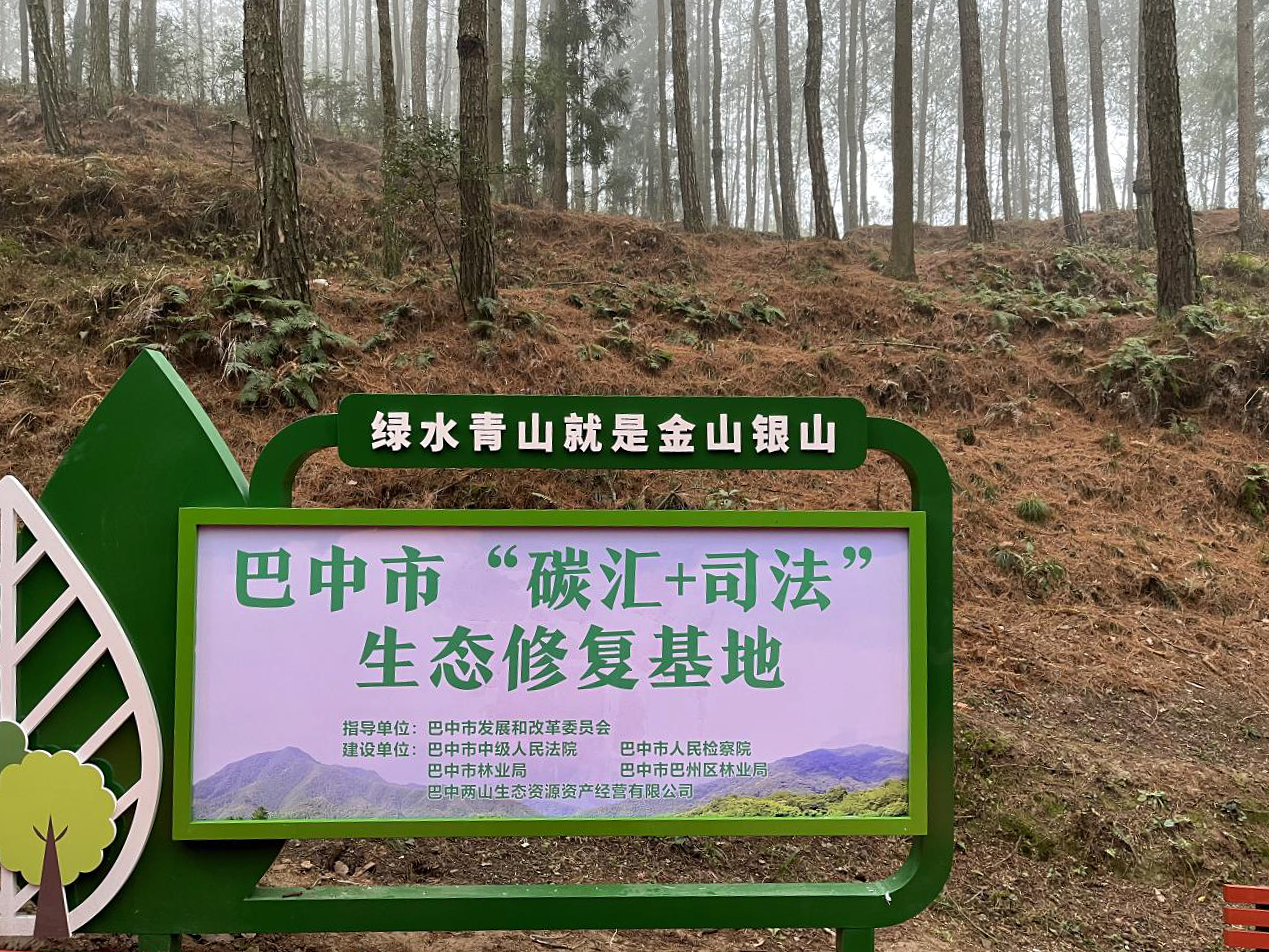 巴中兩山生態(tài)資源資產經營有限公司在巴州區(qū)天馬山鎮(zhèn)啟動“碳匯+司法”生態(tài)修復基地建設工作